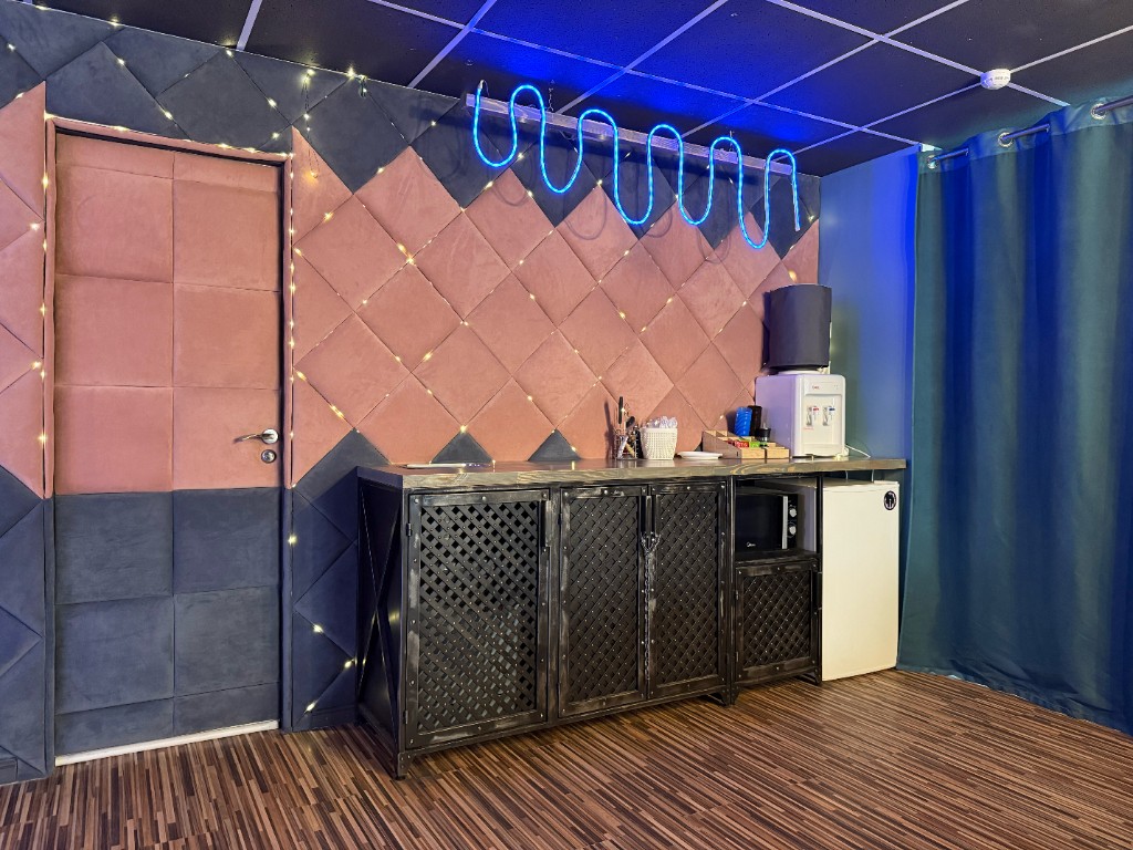 Зона студии с декоративной стеной и кухонным уголком